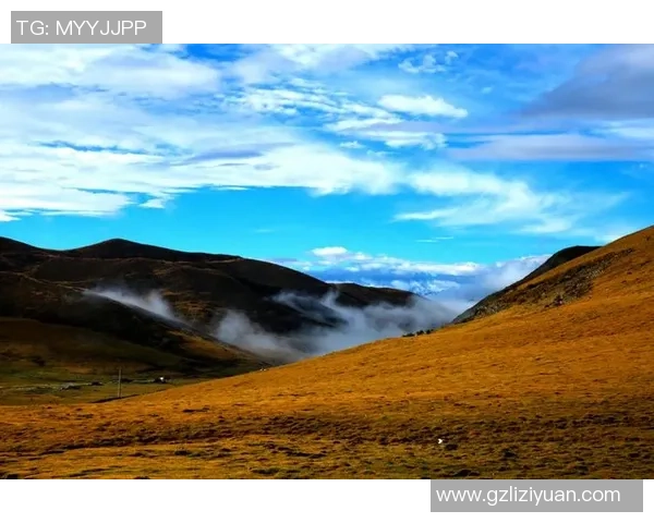 焦泊乔的成长之路与人生哲学探讨：从平凡到卓越的心灵旅程